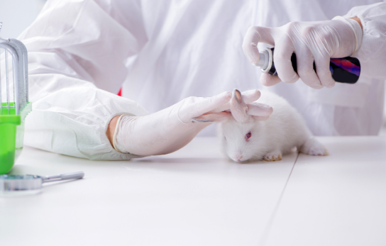 animal testing pros cons essay
