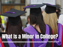 What Is a Minor in College?