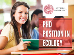 PhD Position in Ecology at the Uppsala University