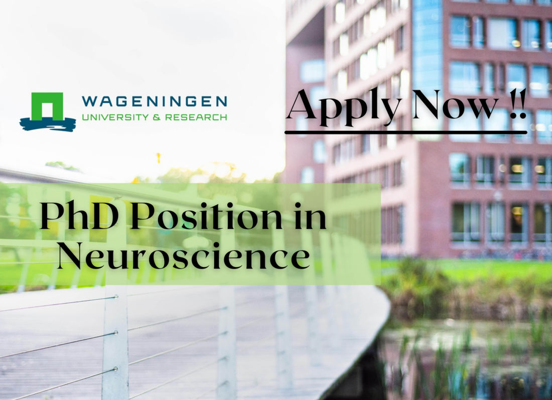 phd position in europe neuroscience